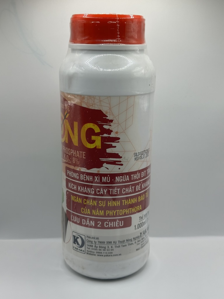 1956E748-1F67-46F1-BDD6-9A1AF5AF9246_1_105_c