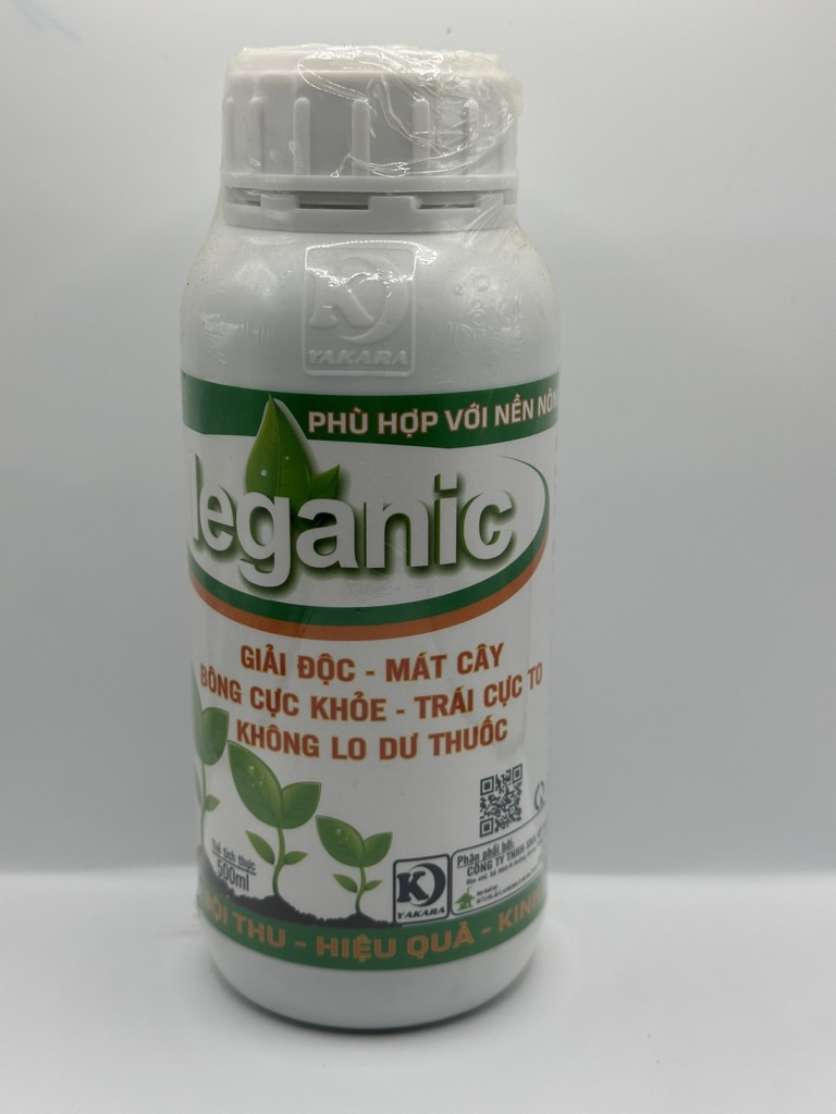 28461B38-A5F3-42D7-8042-F0D6B9CAE06C_1_105_c