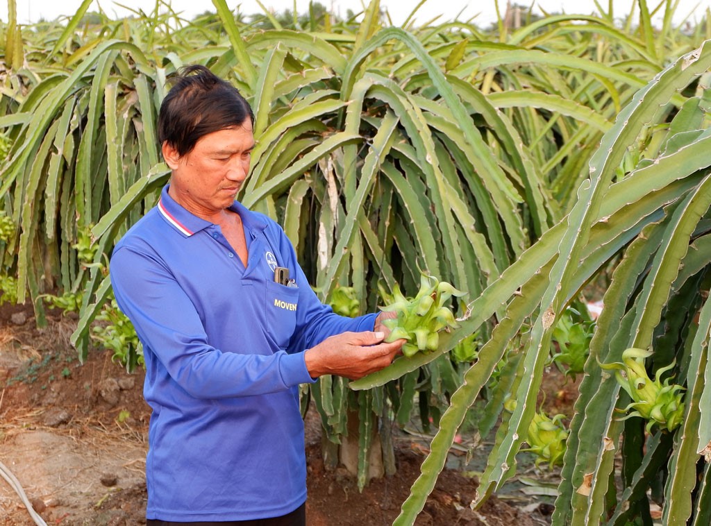 Điển hình trong phong trào nông dân sản xuất, kinh doanh giỏi