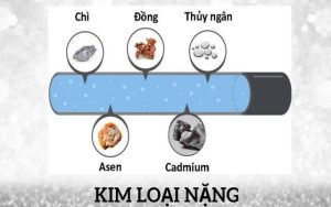 Ngăn chặn nguy cơ kim loại nặng trong nông nghiệp