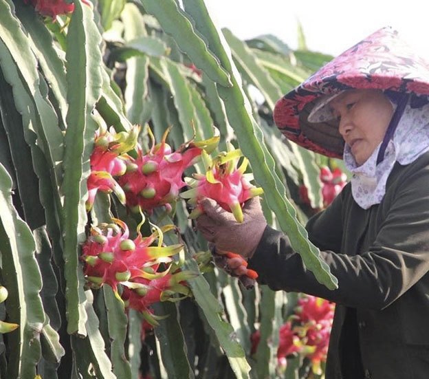 Chị Nguyễn Xuân Thuỷ