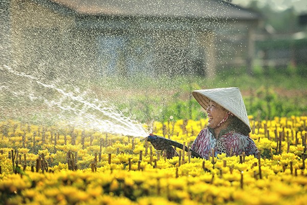  Chị Lý Thanh Tâm